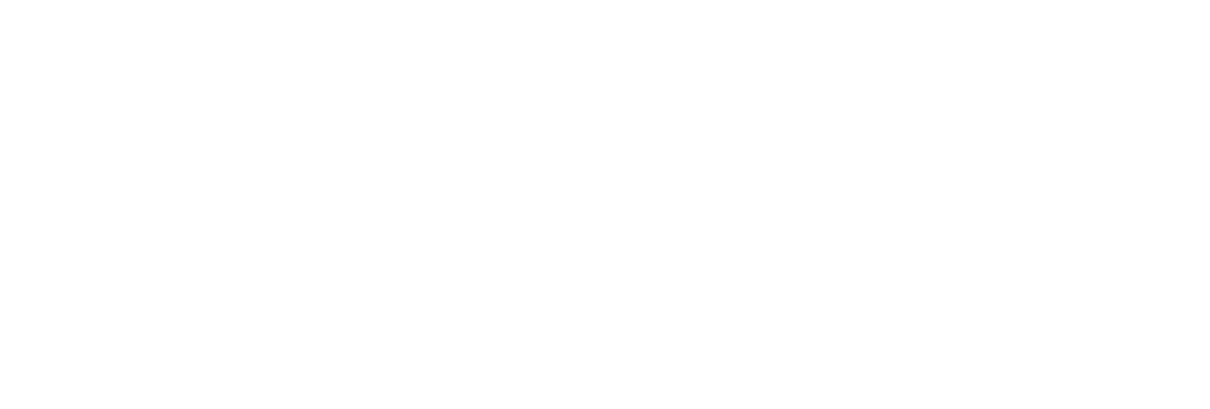 Algema-Chassis-Tec Logo weiß